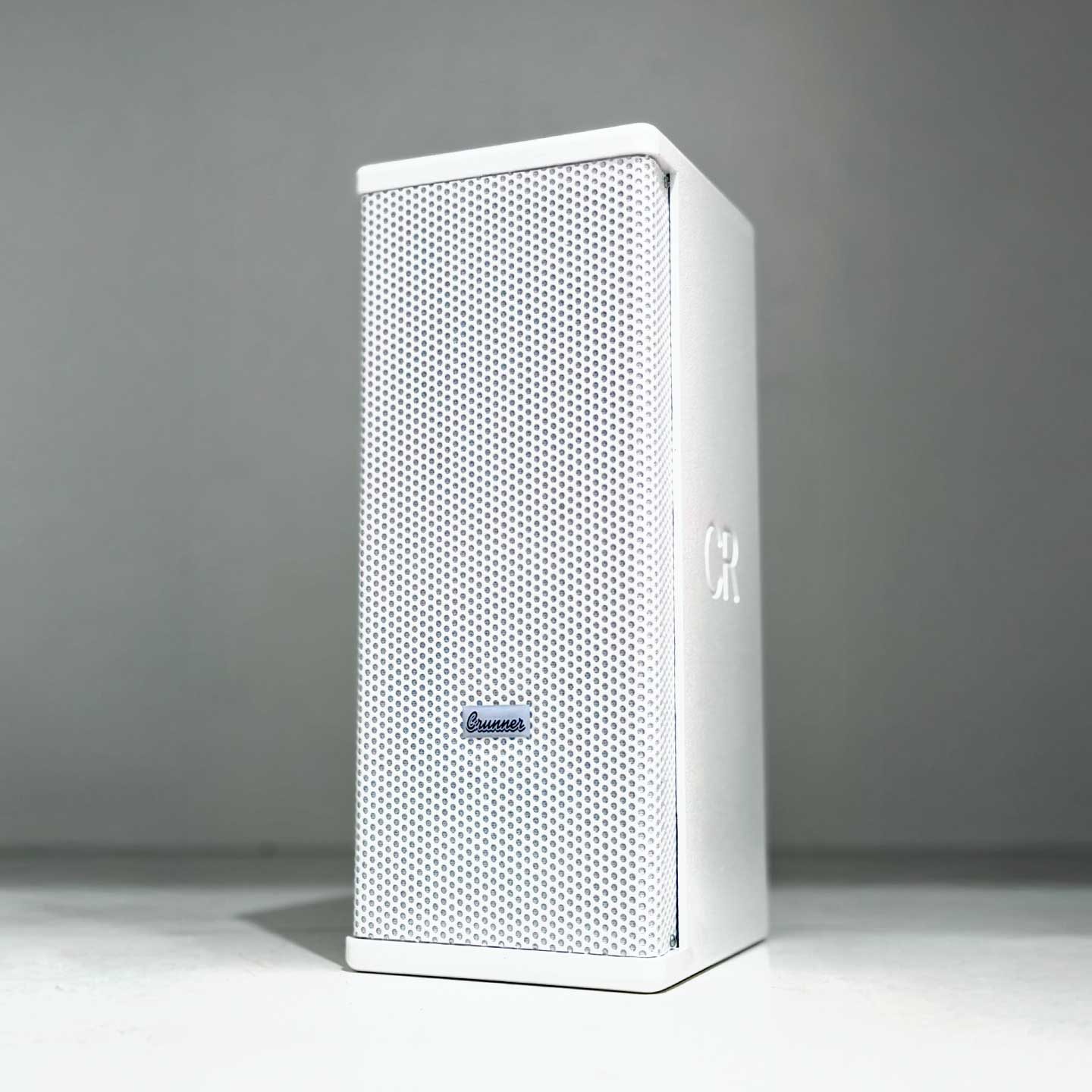 Caixa Line Array Vertical Passiva CR2
