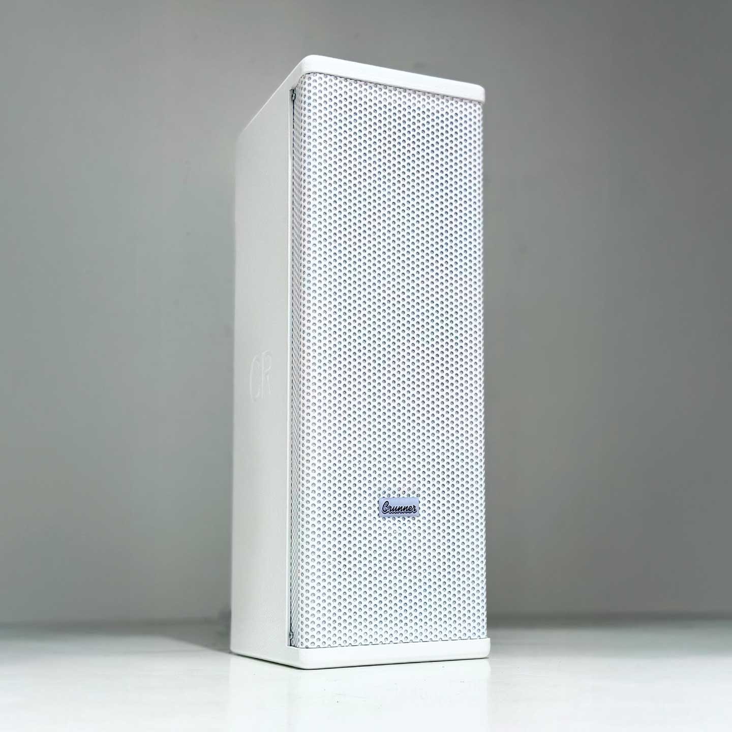 Caixa Line Array Vertical Passiva CR5