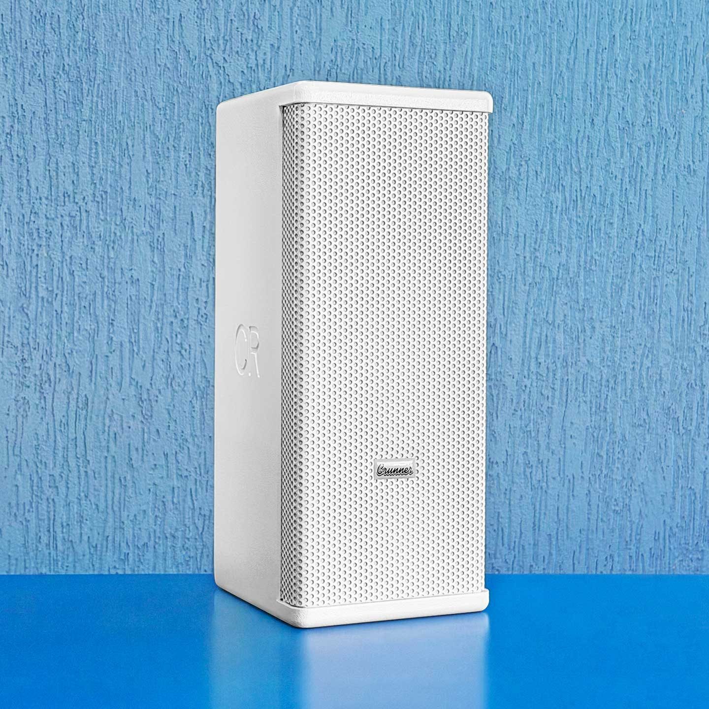 Caixa Line Array Vertical Passiva CR5